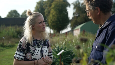 Wat zijn vergeten groenten?